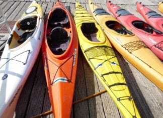 Kajaki Kaszuby – przygoda na Raduni i malowniczych jeziorach